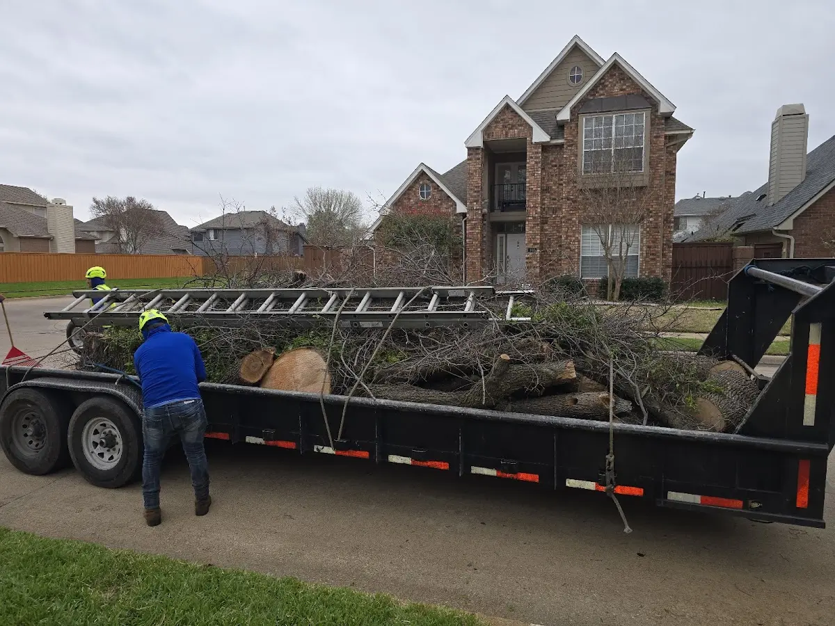 Expert Tree Pest Control with proper safety equipment in Lanham